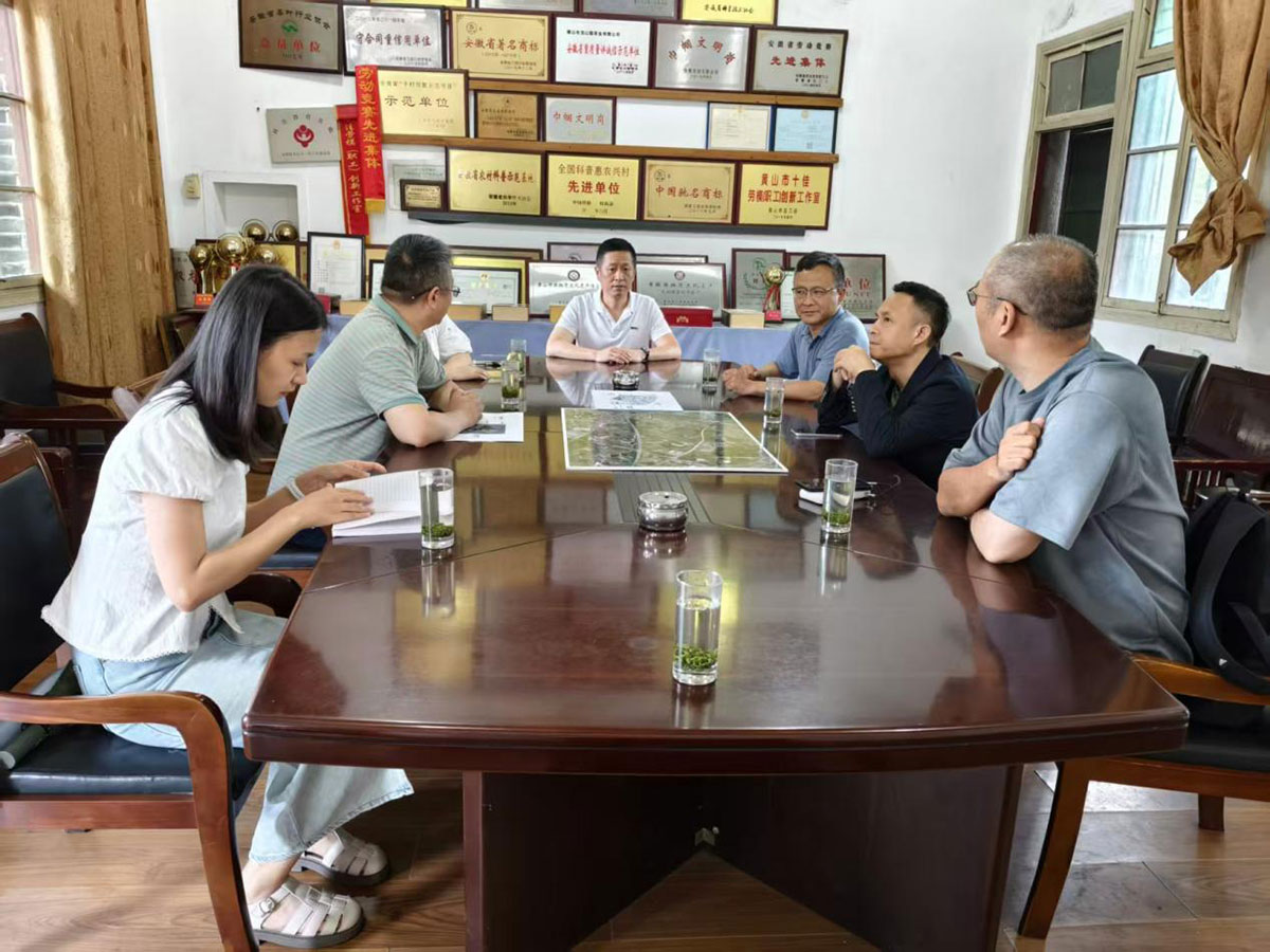 江蘇外聯(lián)采考察團(tuán)到實(shí)驗(yàn)茶場(chǎng)考察，共商茶產(chǎn)業(yè)合作新藍(lán)圖